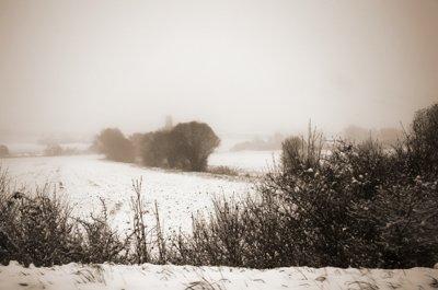 Neige d'hier_5218794747_l.jpg